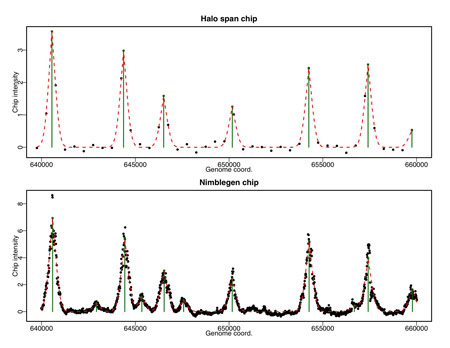 Sample Halo Data